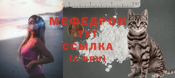 Альфа ПВП Лагань