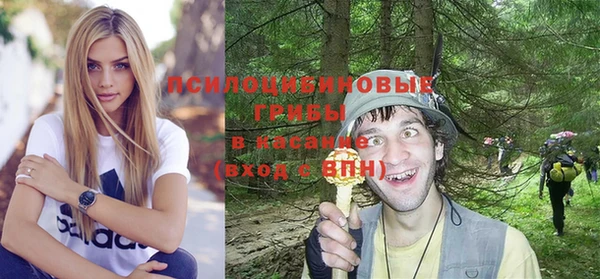 Альфа ПВП Лагань