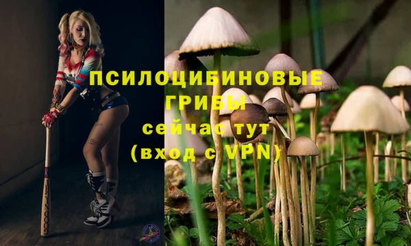 таблы Ладушкин