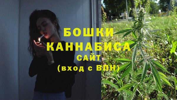 Альфа ПВП Лагань