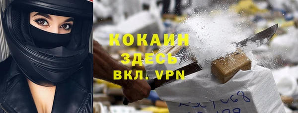 Альфа ПВП Лагань