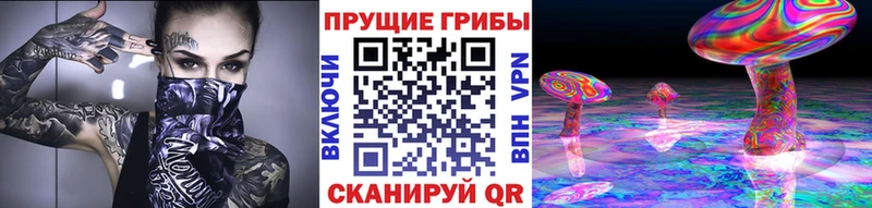 Галлюциногенные грибы Psilocybine cubensis  Купить где  Лабытнанги 